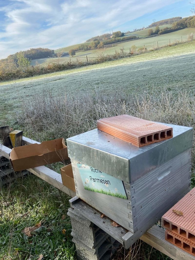 La ruche Parmesan