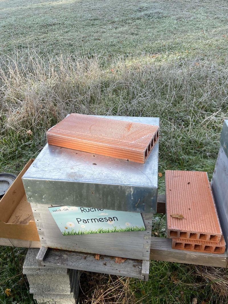 La ruche Parmesan