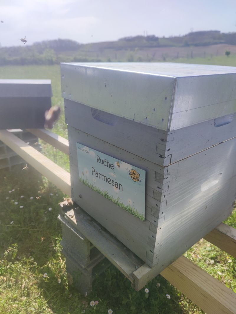 La ruche Parmesan