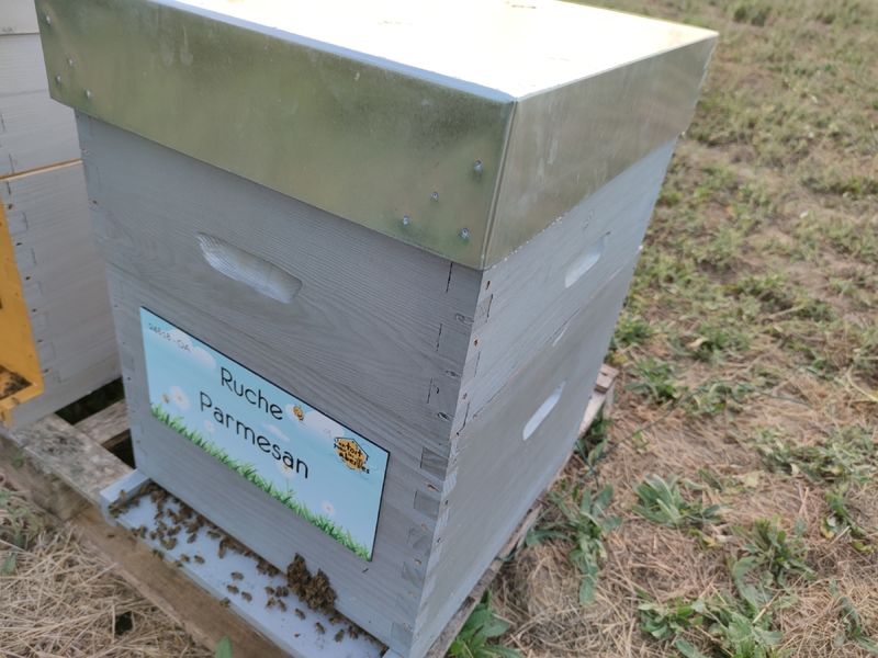 La ruche Parmesan