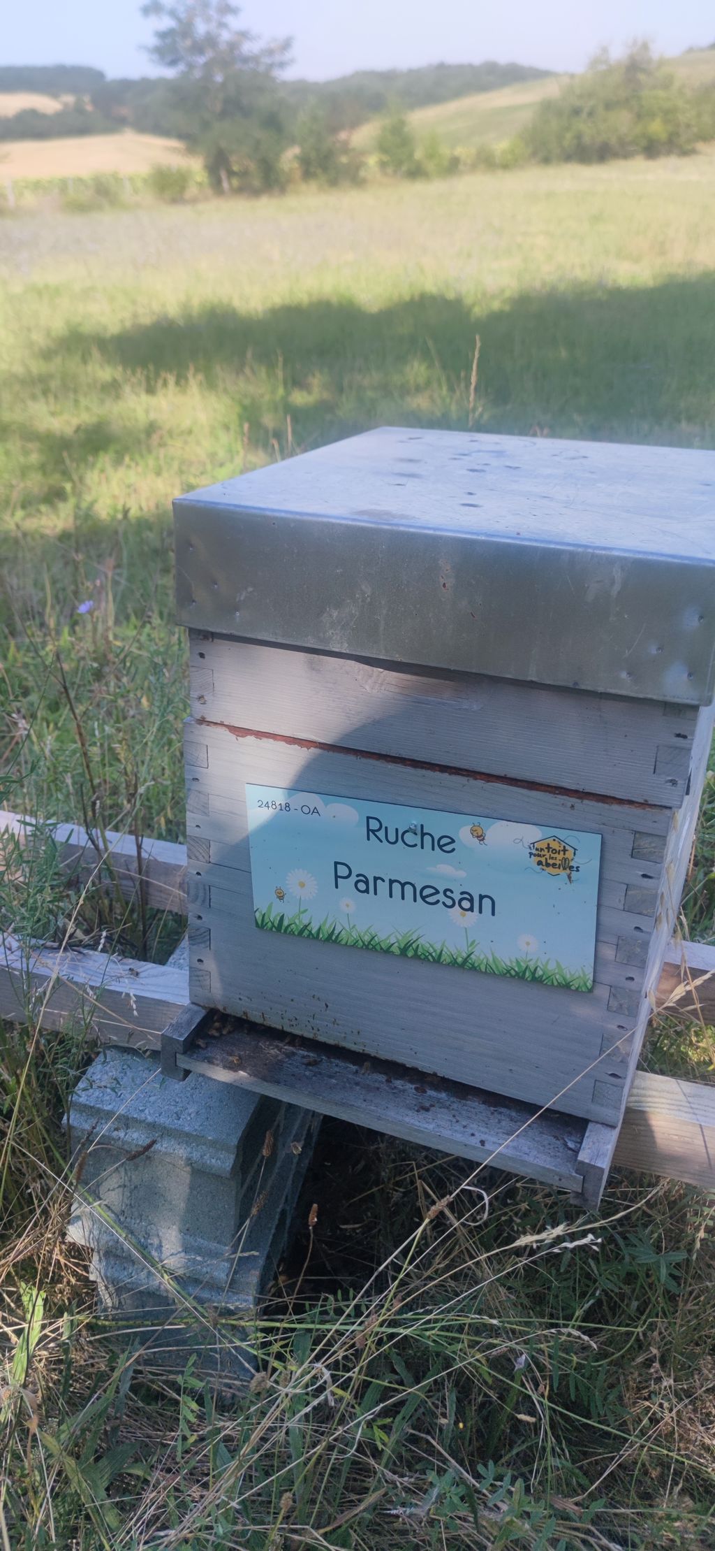 La ruche Parmesan