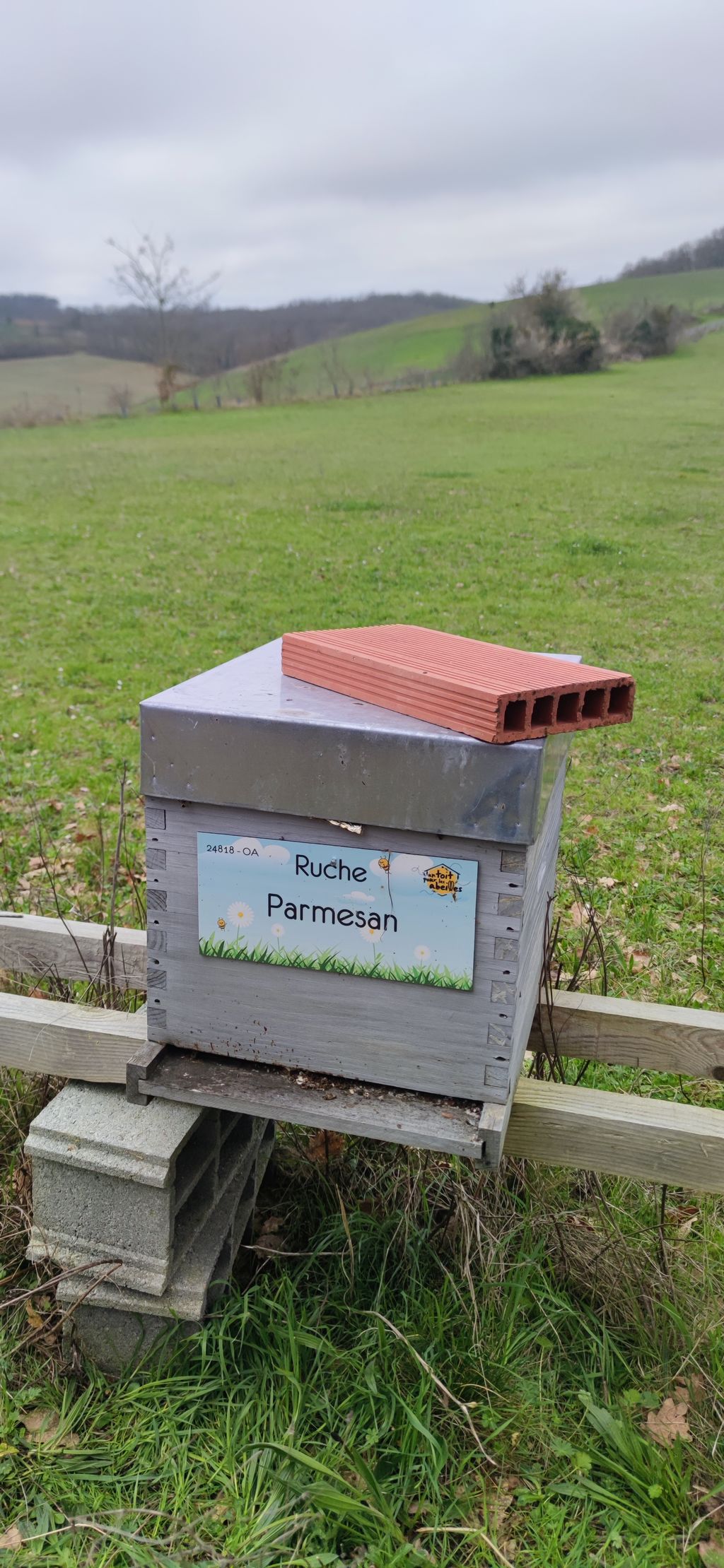 La ruche Parmesan
