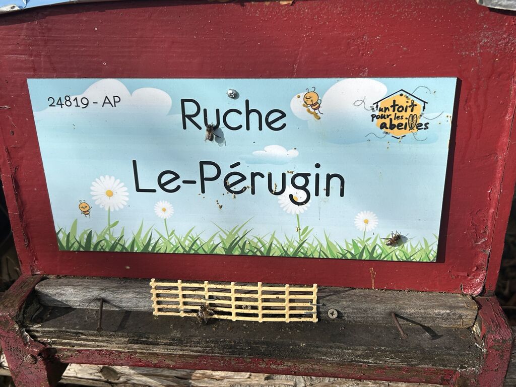La ruche Le-Pérugin