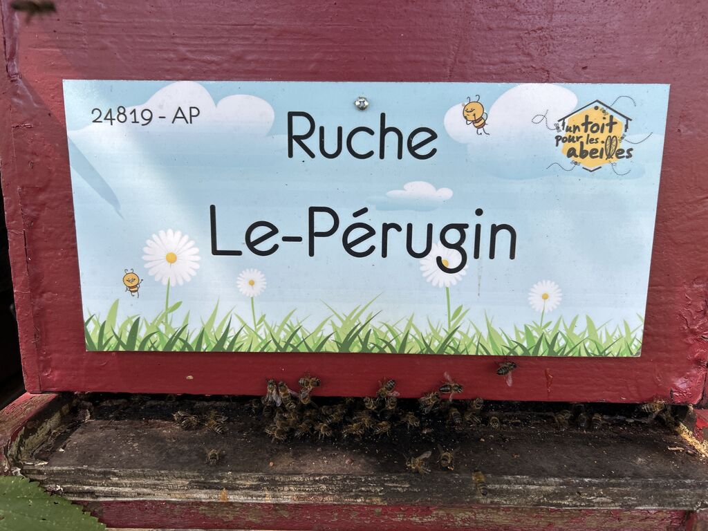 La ruche Le-Pérugin