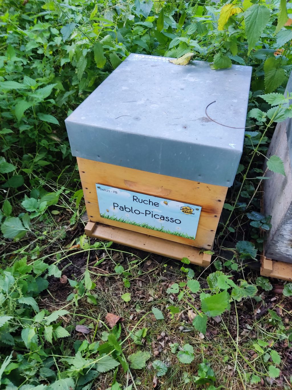 La ruche Pablo-Picasso