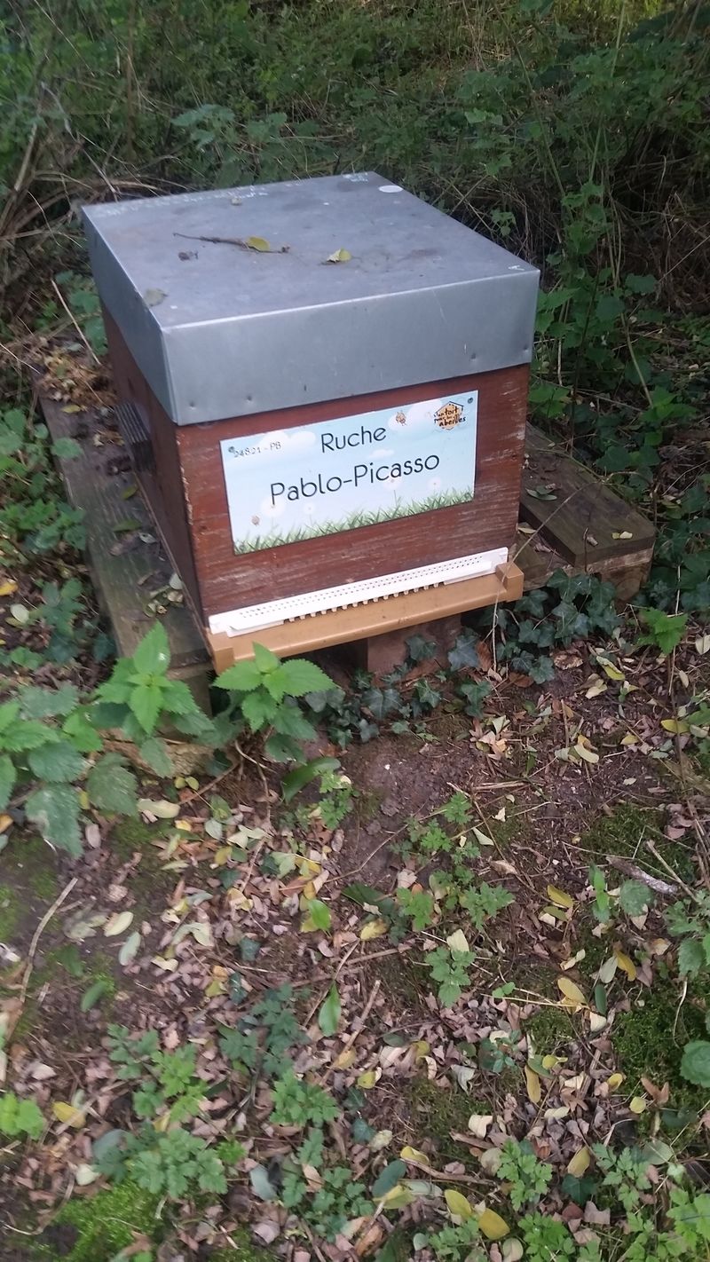 La ruche Pablo-Picasso