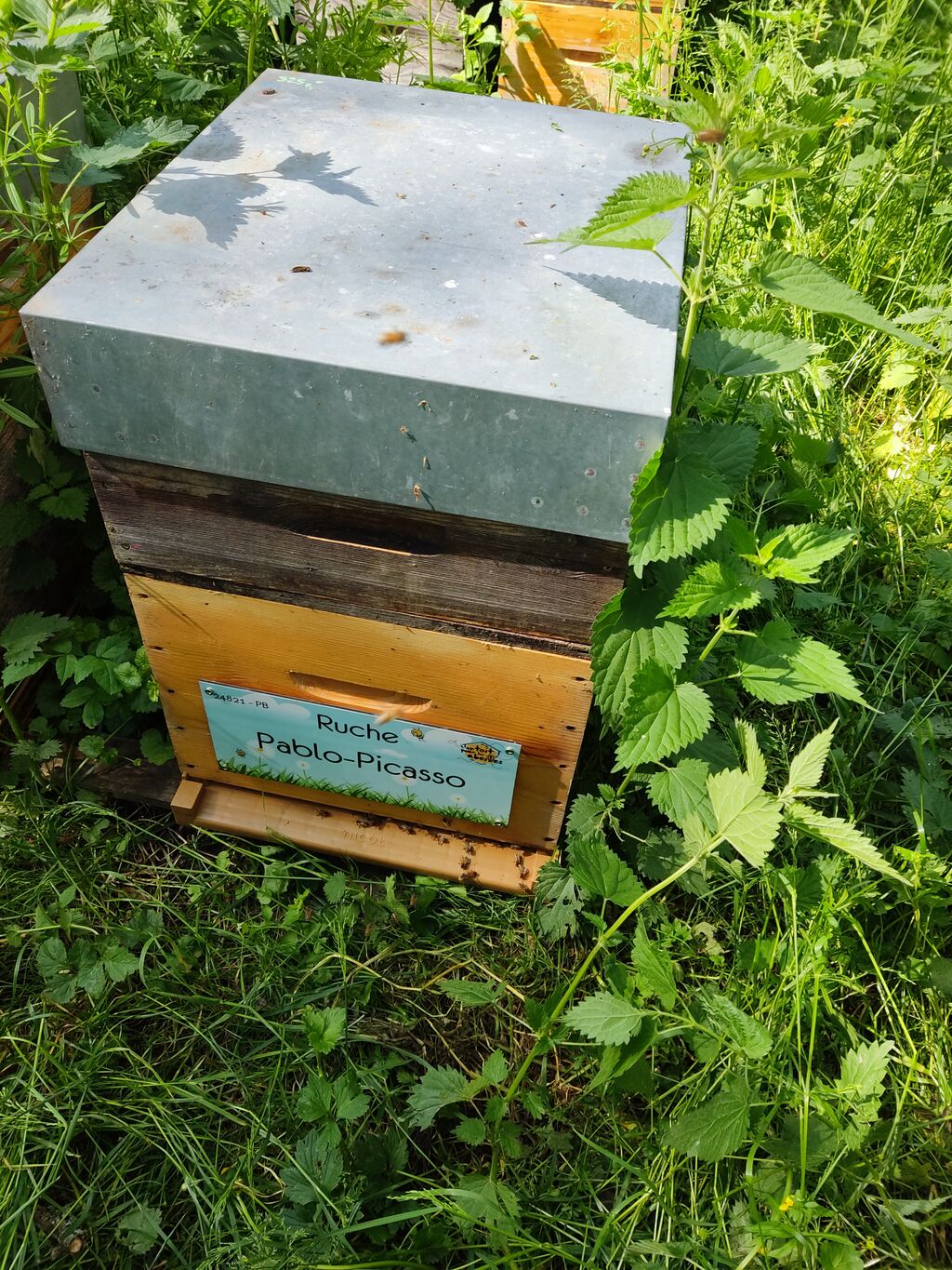 La ruche Pablo-Picasso