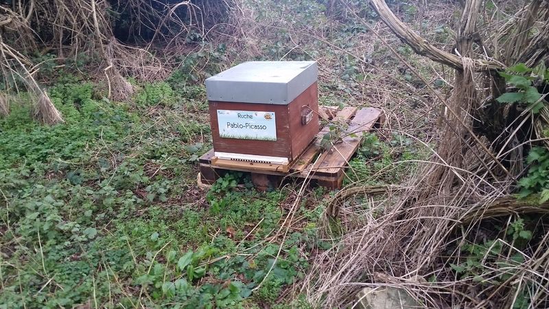 La ruche Pablo-Picasso