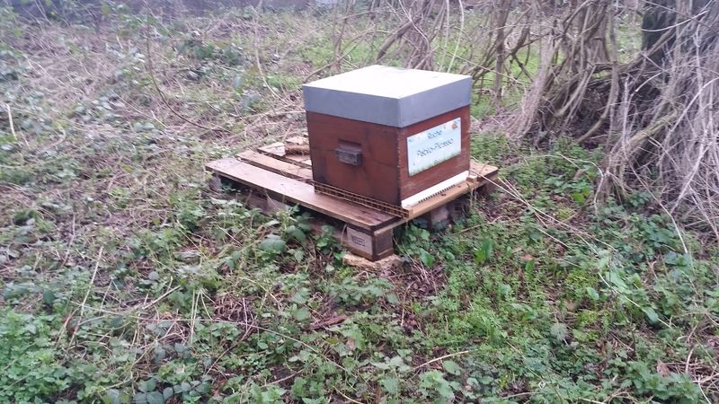 La ruche Pablo-Picasso