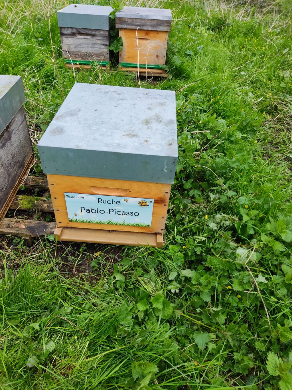 La ruche Pablo-Picasso