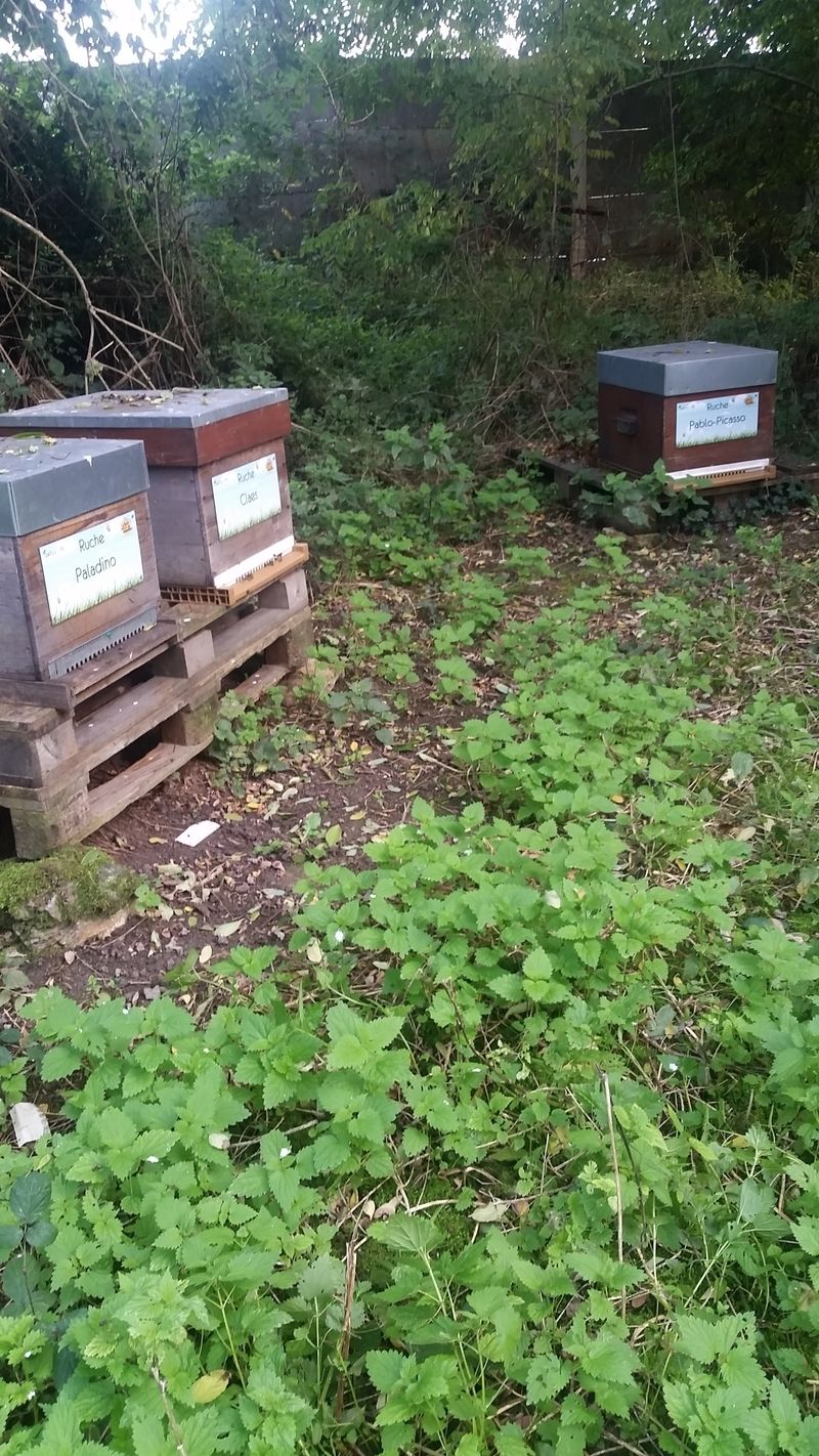 La ruche Pablo-Picasso