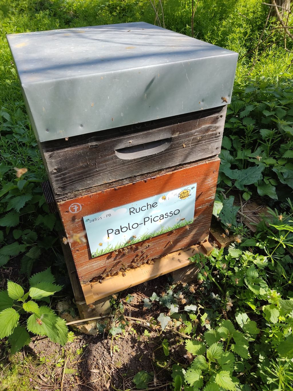 La ruche Pablo-Picasso