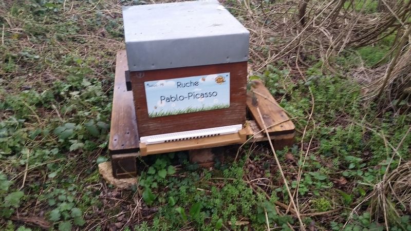 La ruche Pablo-Picasso
