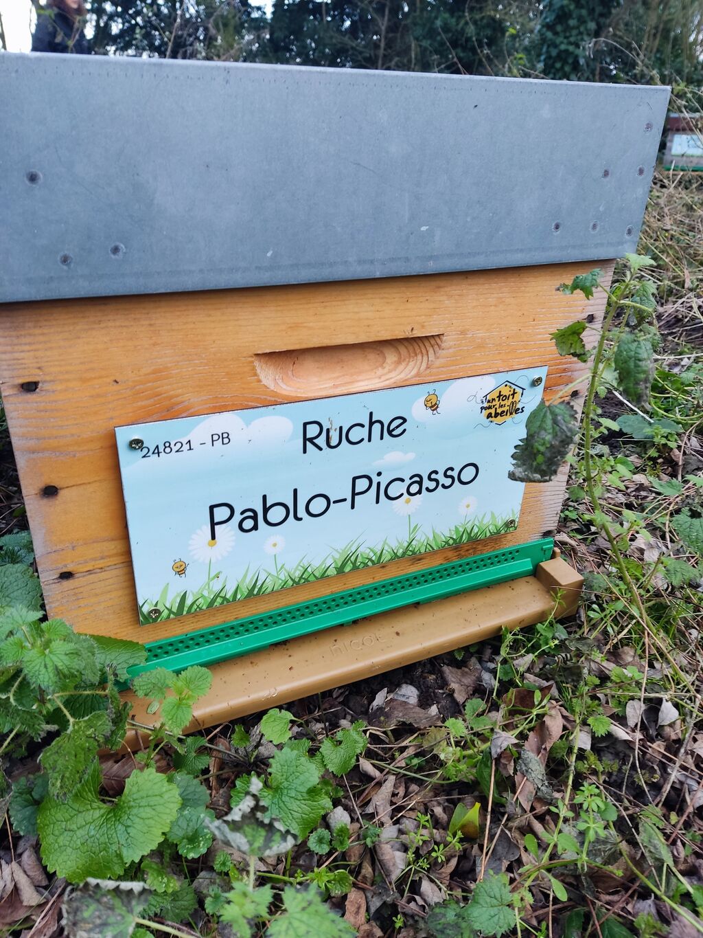 La ruche Pablo-Picasso