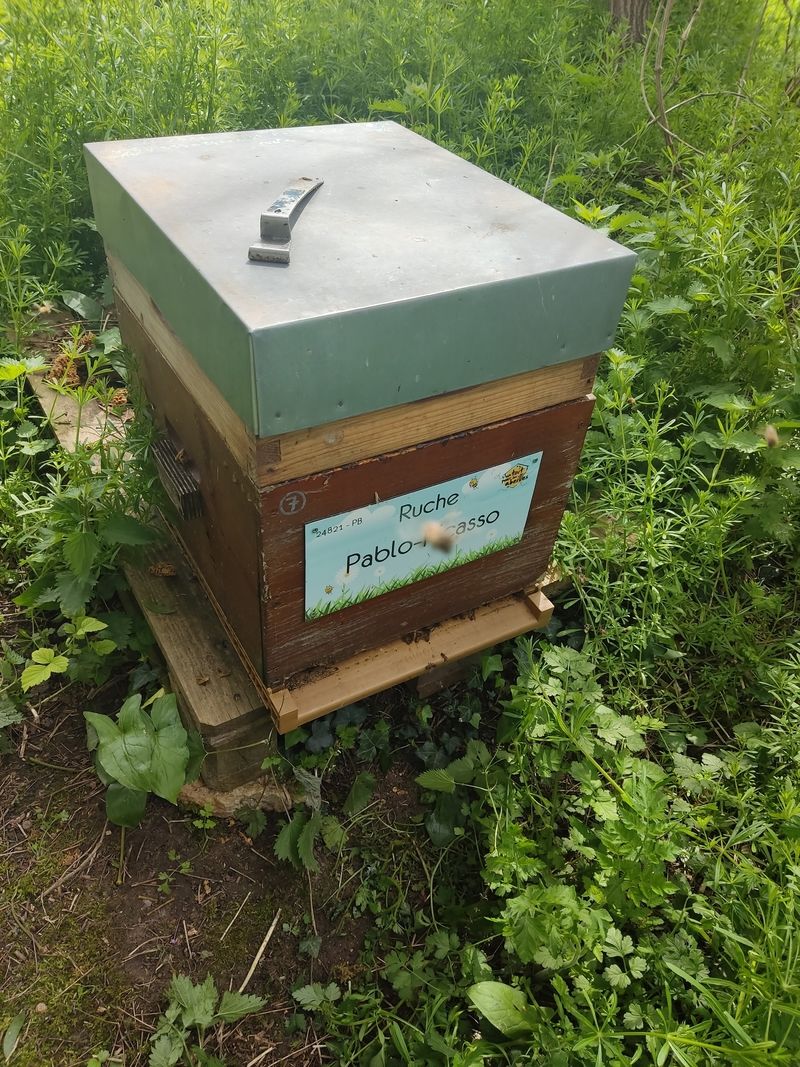 La ruche Pablo-Picasso