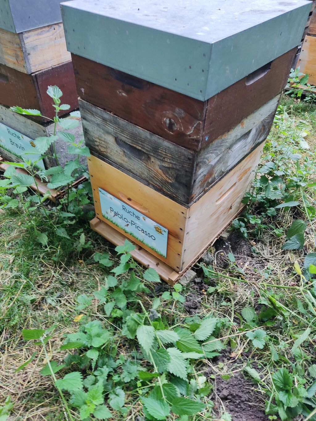 La ruche Pablo-Picasso