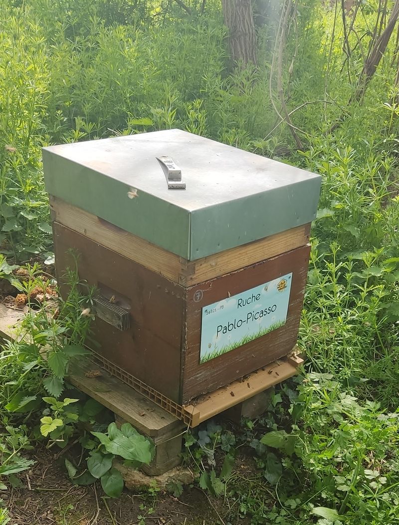 La ruche Pablo-Picasso