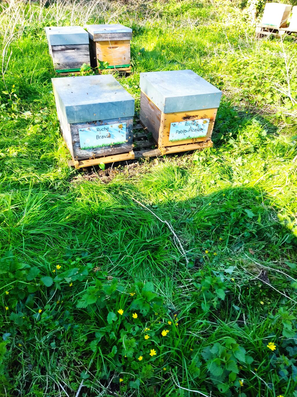 La ruche Pablo-Picasso