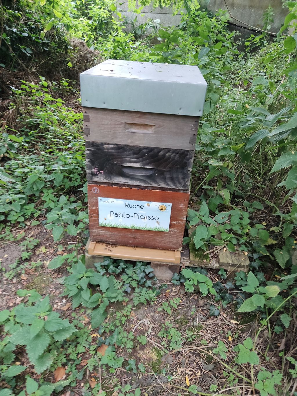 La ruche Pablo-Picasso