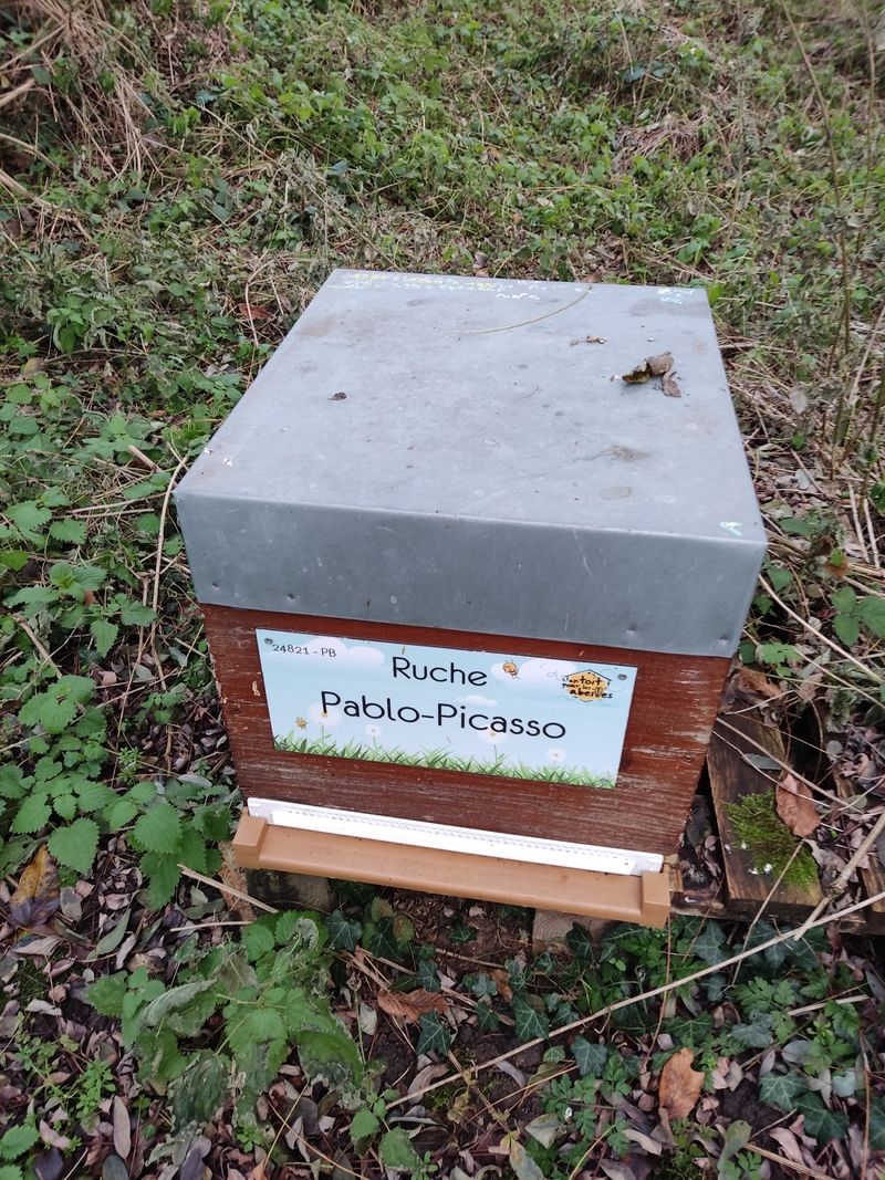 La ruche Pablo-Picasso
