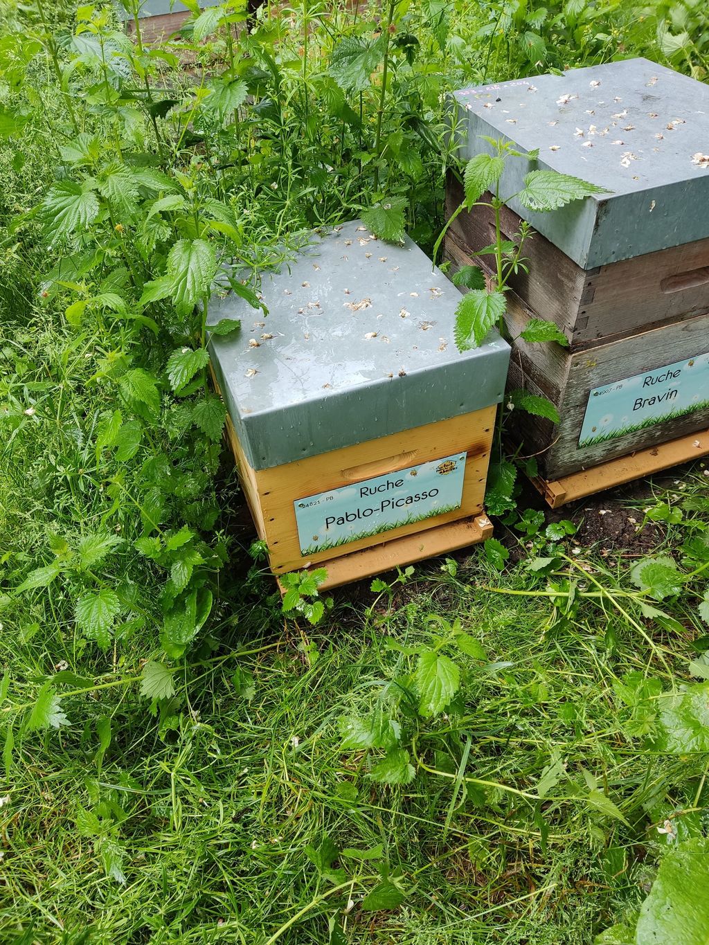 La ruche Pablo-Picasso
