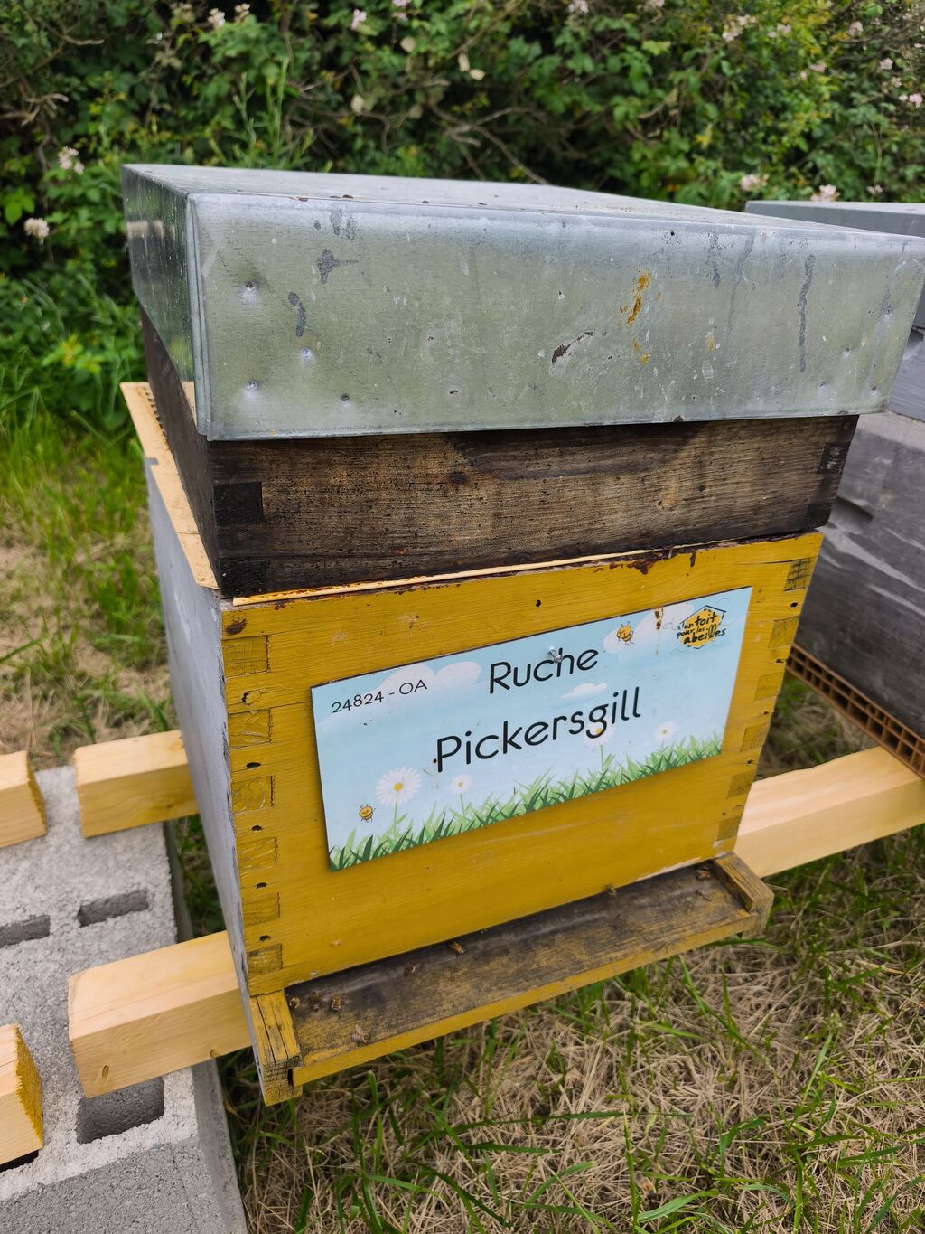 La ruche Pickersgill