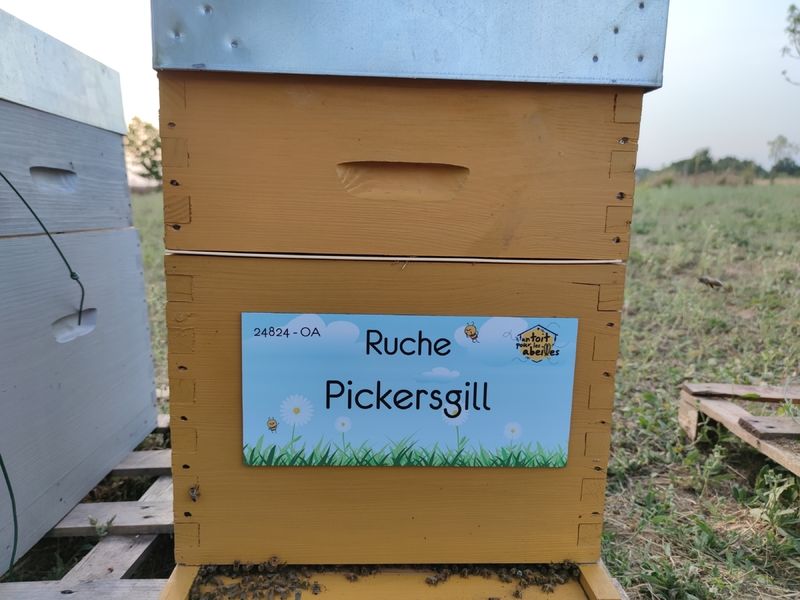 La ruche