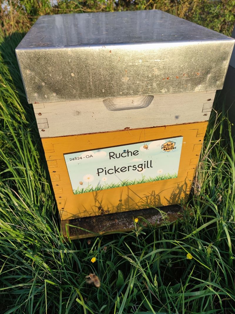 La ruche Pickersgill
