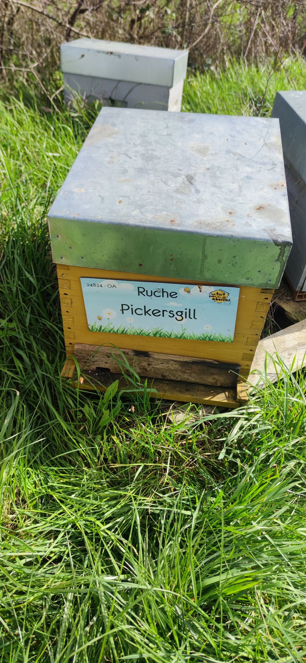 La ruche Pickersgill