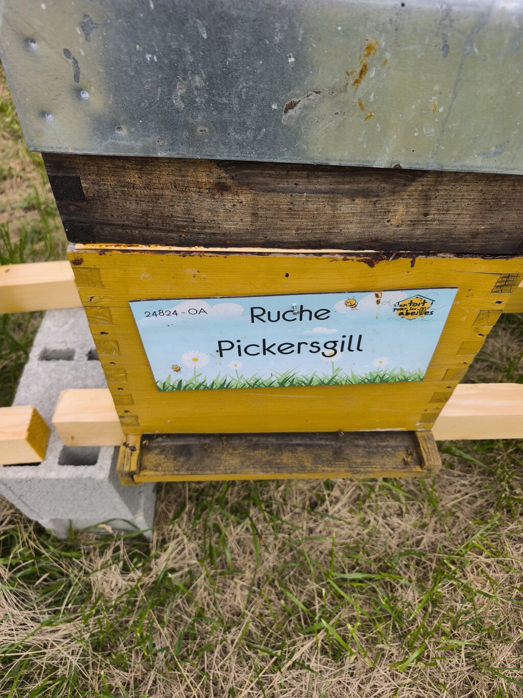 La ruche Pickersgill