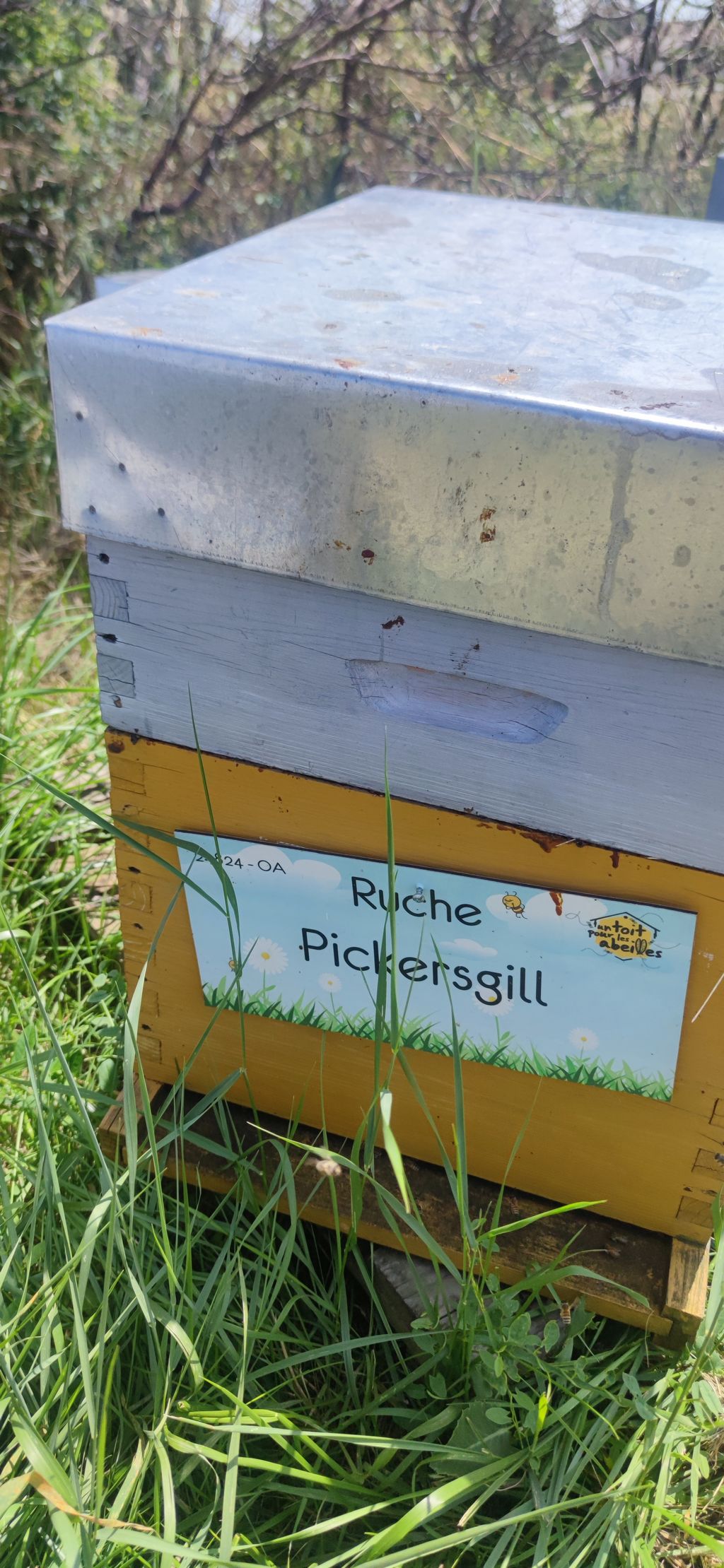 La ruche Pickersgill