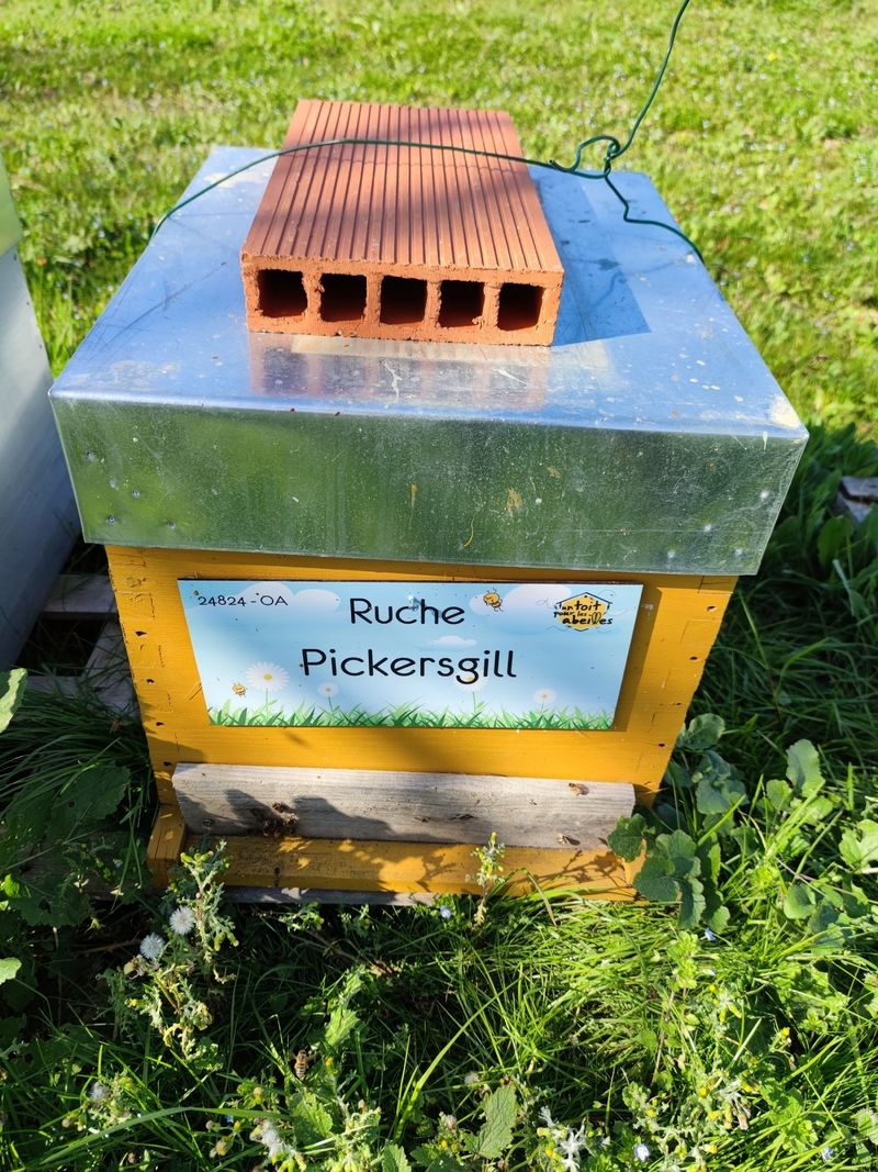 La ruche Pickersgill