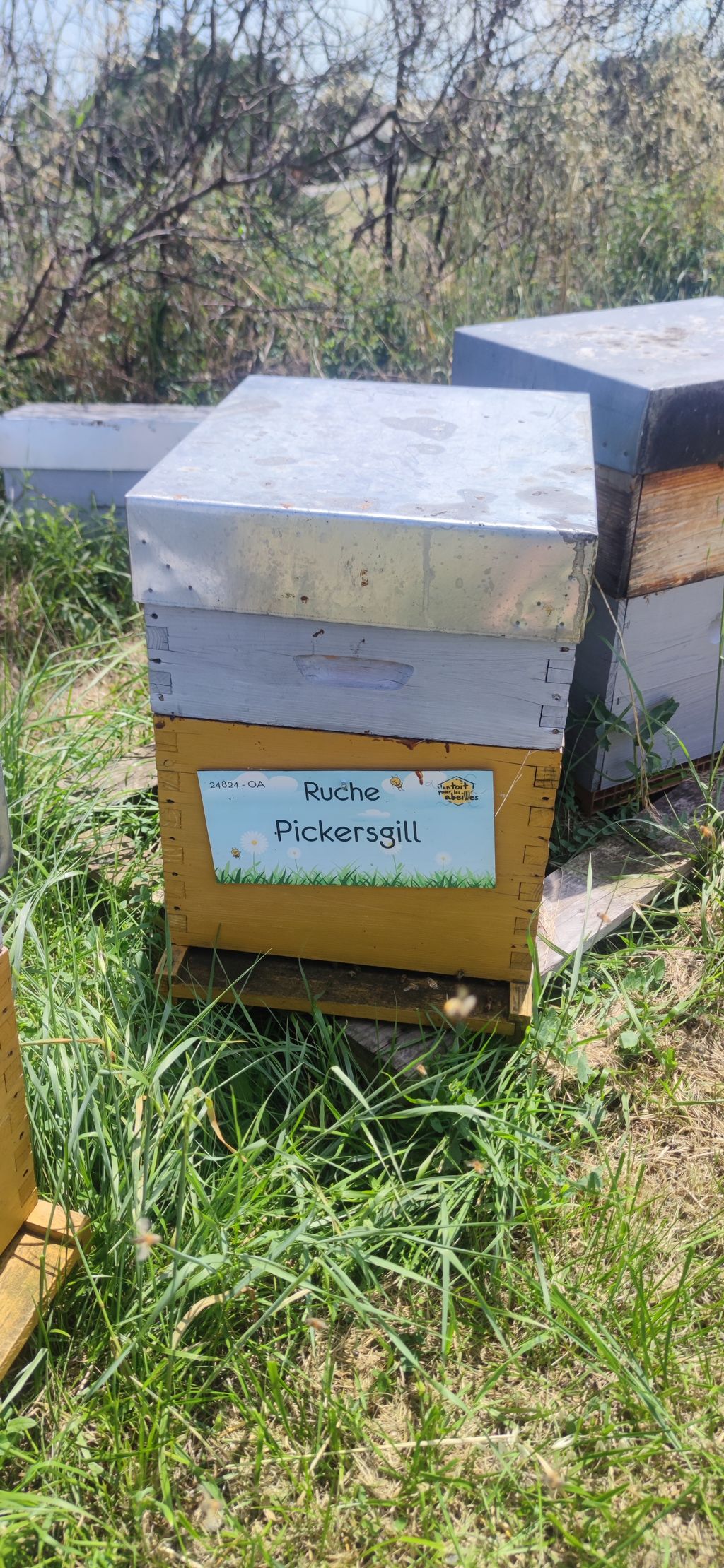 La ruche Pickersgill