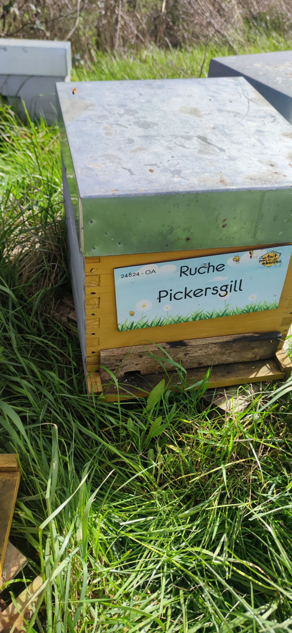 La ruche Pickersgill