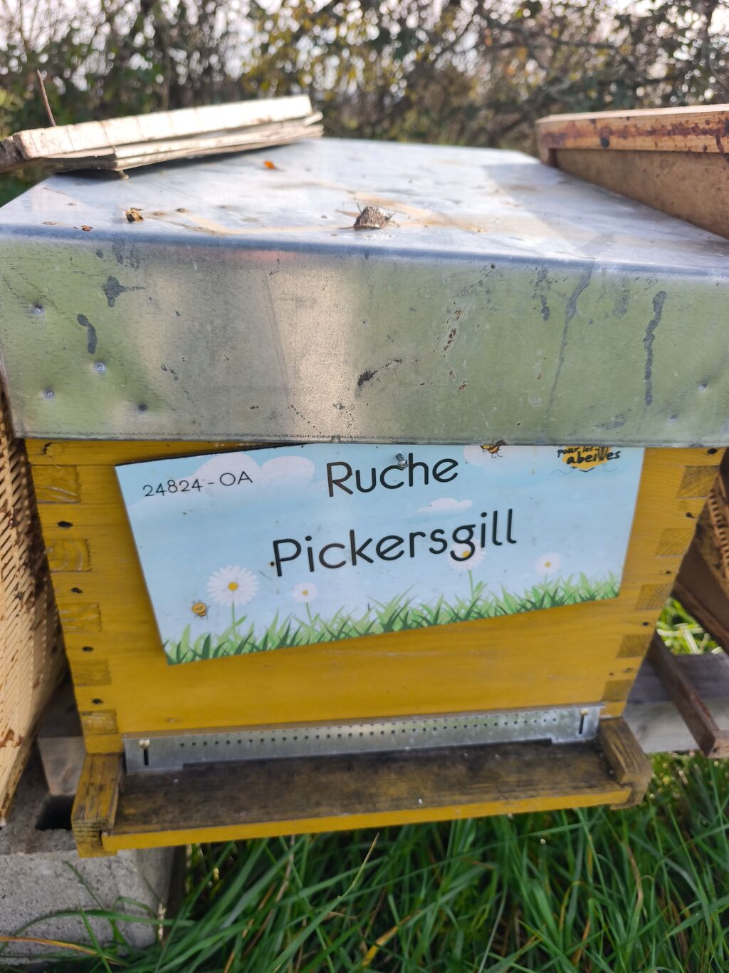 La ruche Pickersgill