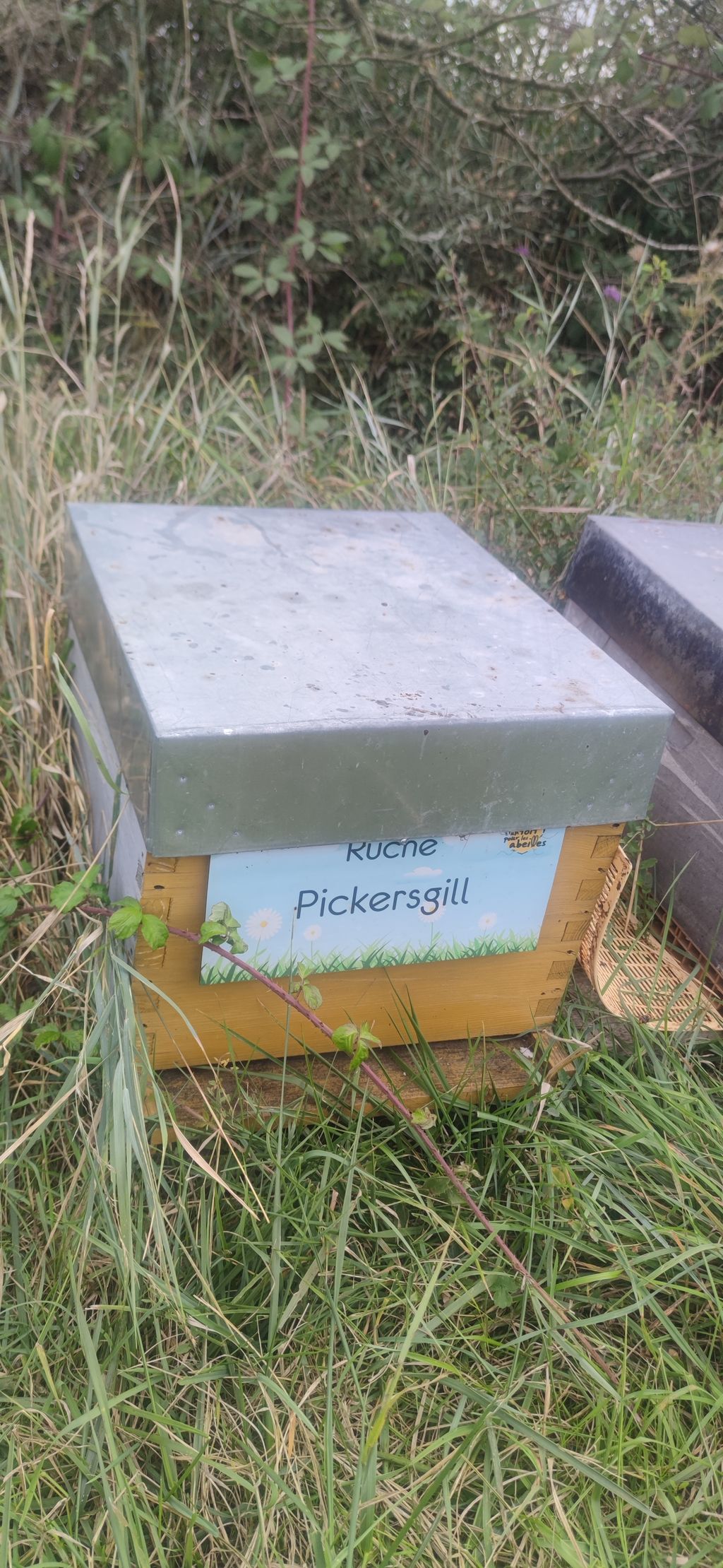 La ruche Pickersgill