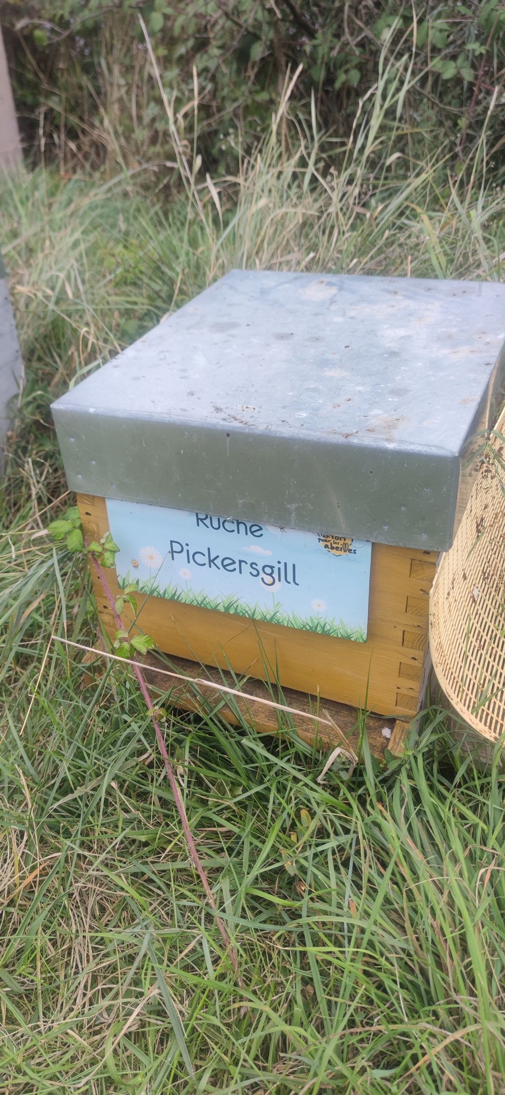 La ruche Pickersgill