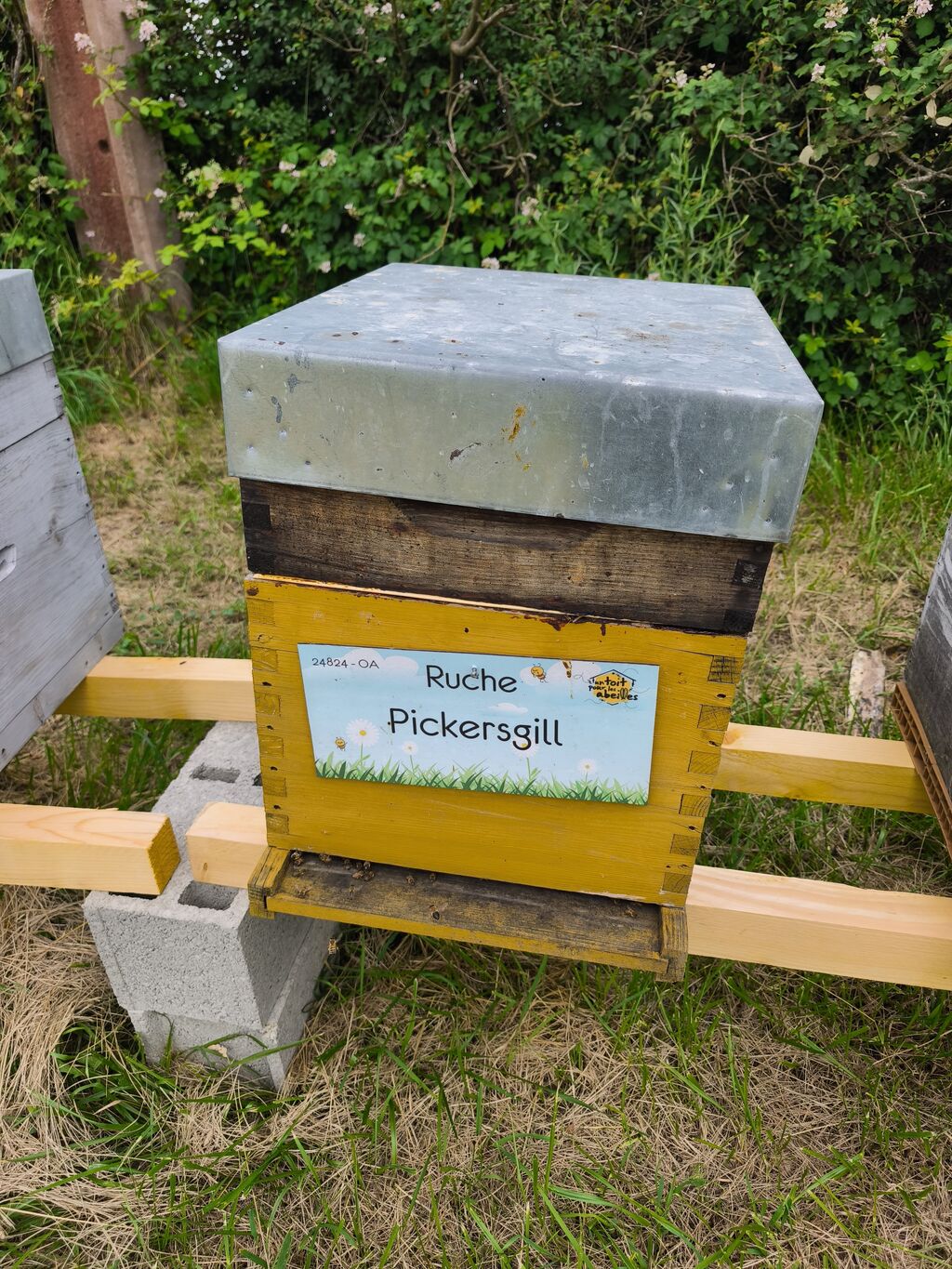 La ruche Pickersgill