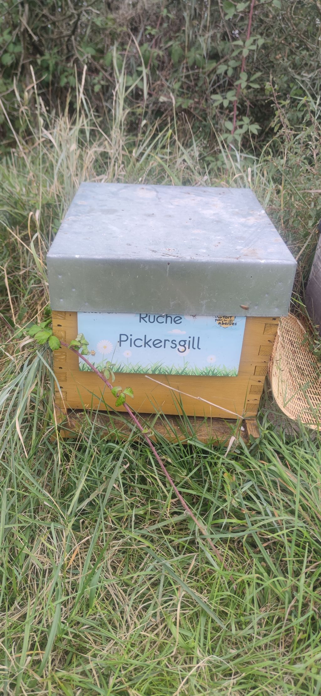 La ruche Pickersgill