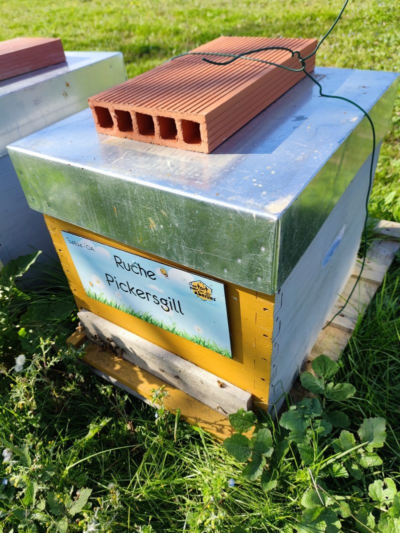 La ruche Pickersgill