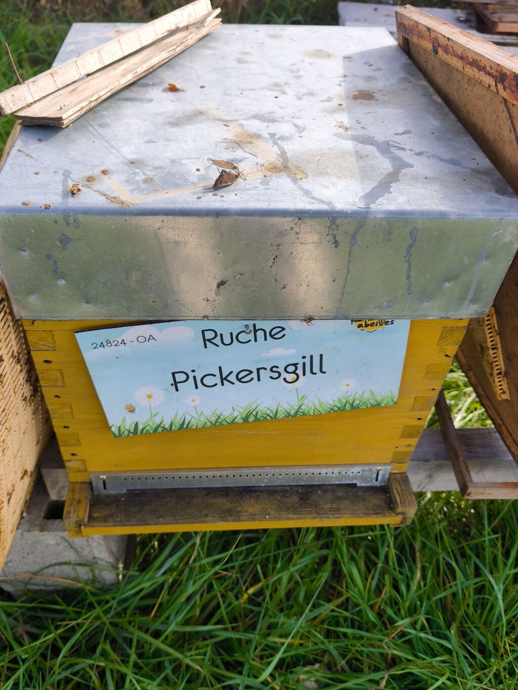 La ruche Pickersgill