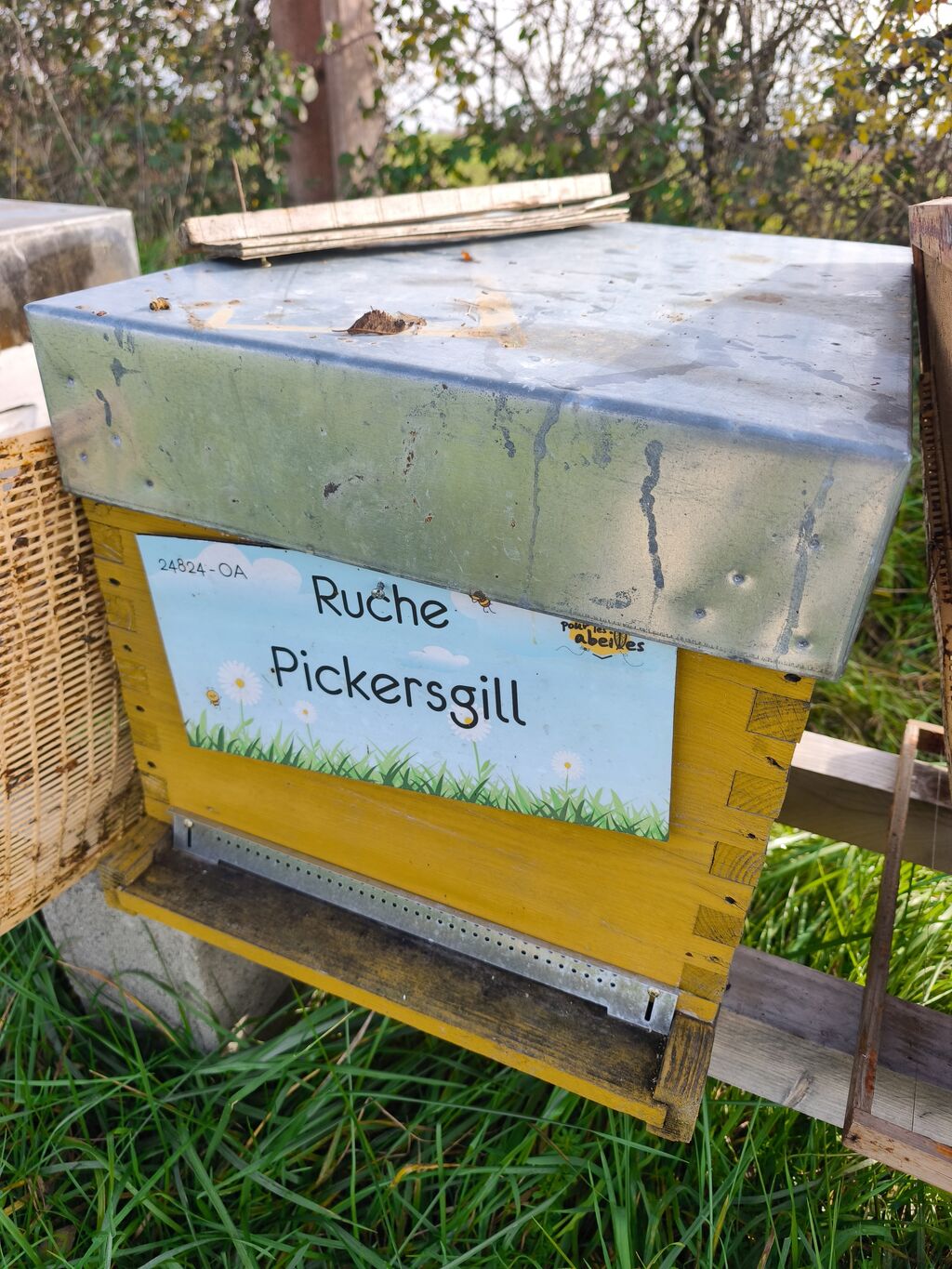 La ruche Pickersgill