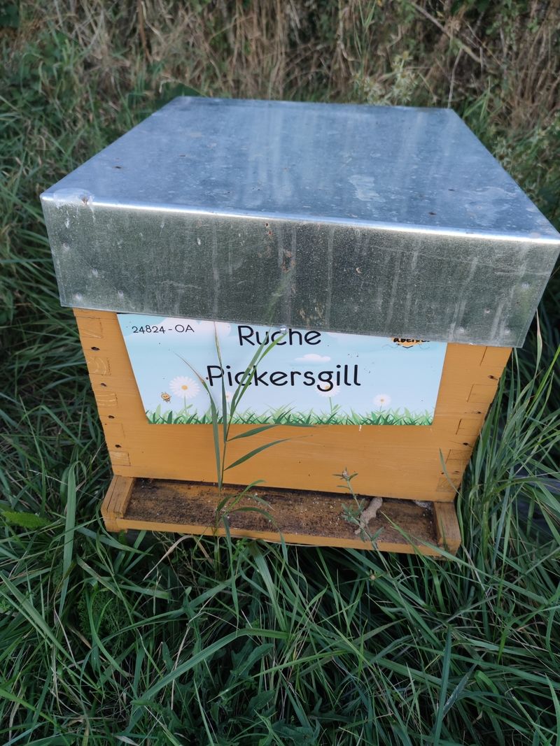 La ruche Pickersgill