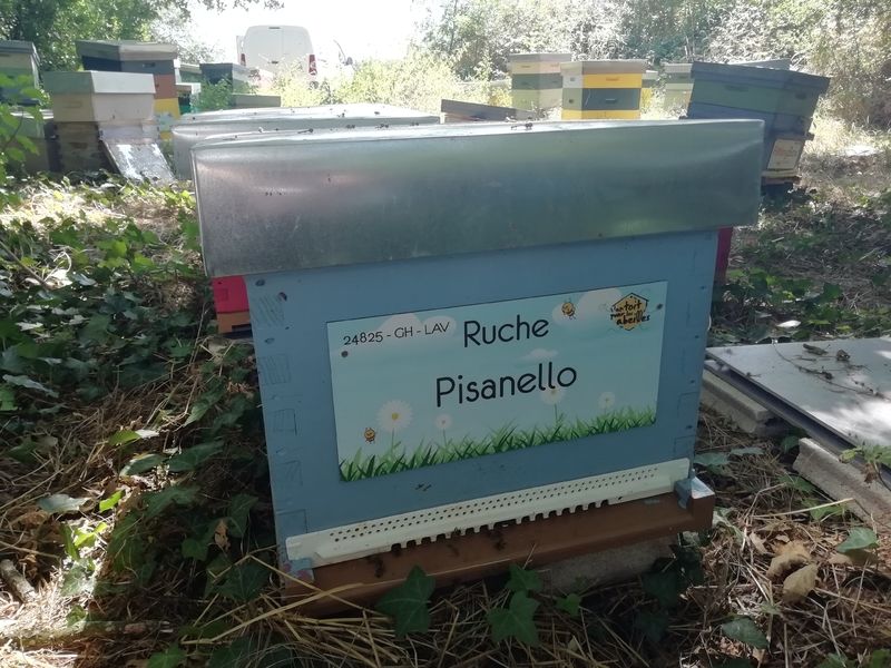 La ruche
