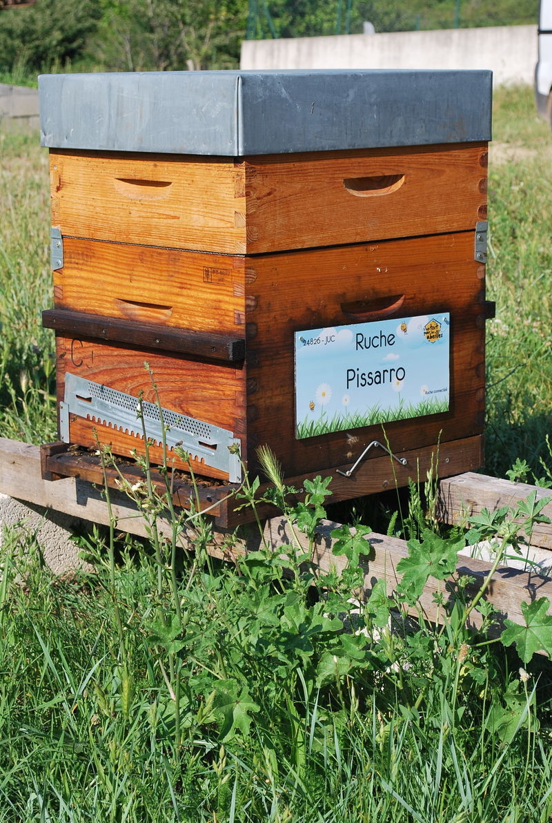 La ruche Pissarro