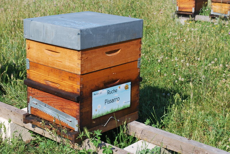 La ruche Pissarro