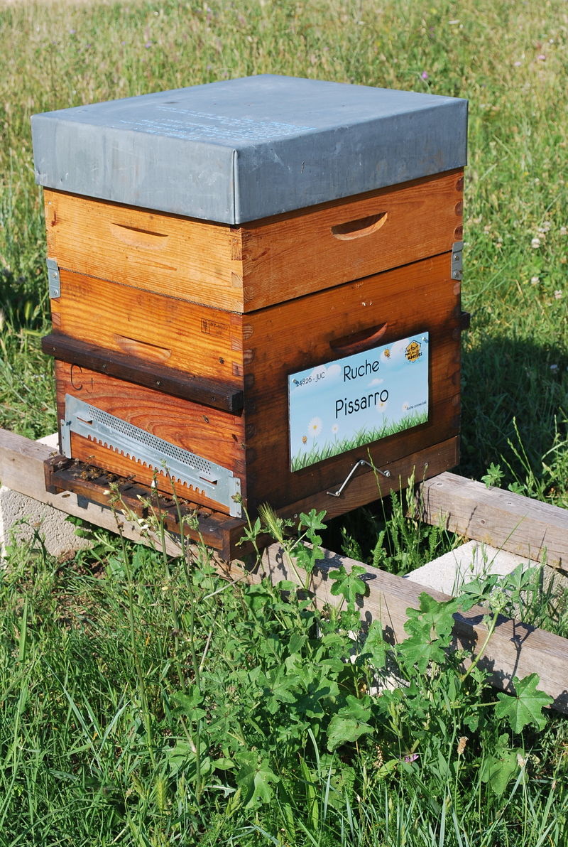 La ruche Pissarro