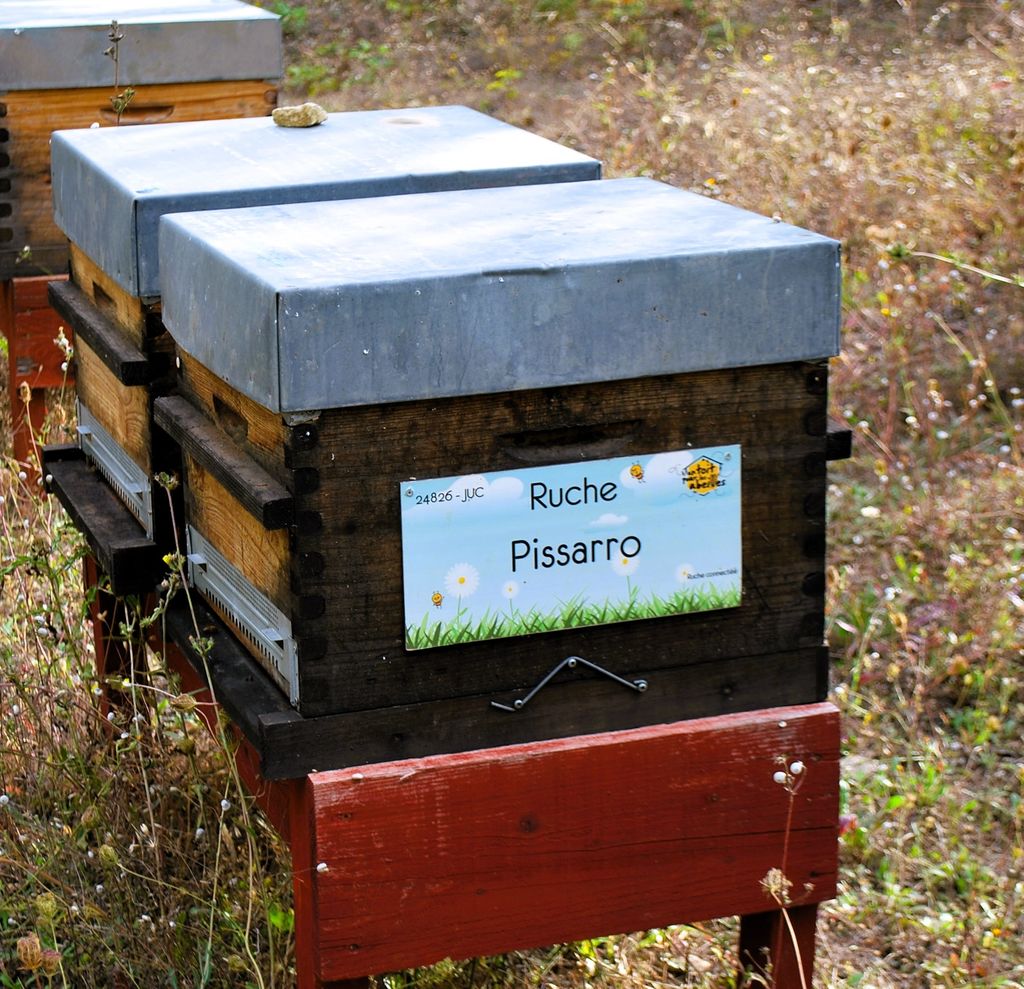 La ruche Pissarro