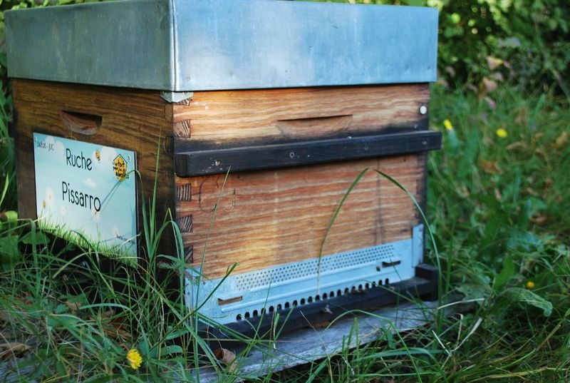La ruche Pissarro