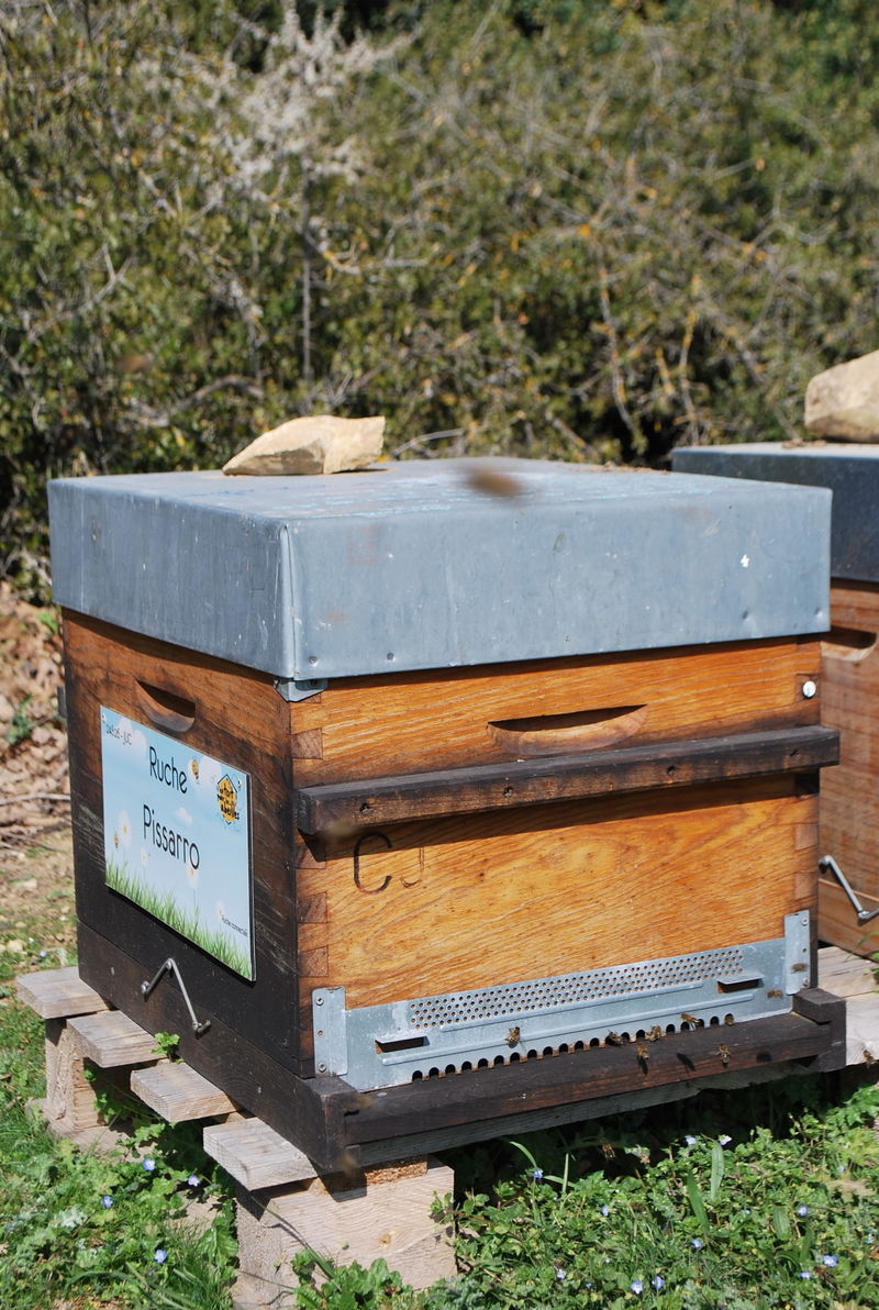 La ruche Pissarro